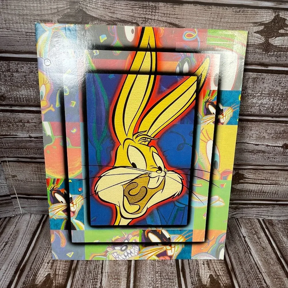 Lot of 3 Vintage Looney Tunes Folders Portfolio Organizer Stuart Hall 1999 NEW